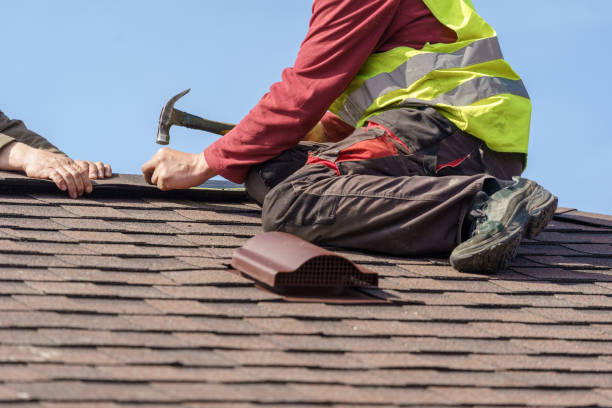 Best Residential Roofing Contractor  in Pierz, MN