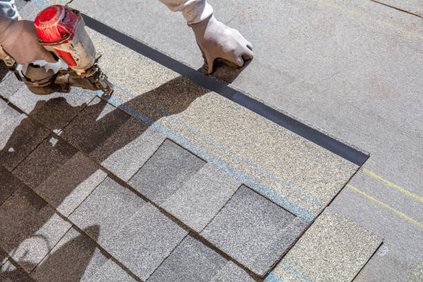 Best Roof Repair Services  in Pierz, MN